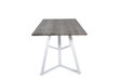 Ruokapöytä Marina FURNLUX CLASSIC, 90x180x75 cm, harmaa hinta ja tiedot | Ruokapöydät | hobbyhall.fi