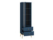 Vitriini Marine FURNLUX CLASSIC, 55x40x190 cm, sininen hinta ja tiedot | Vitriinit | hobbyhall.fi