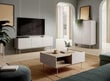 Tv-taso Color FURNLUX CLASSIC, 144x37x55 cm, beige hinta ja tiedot | TV-tasot | hobbyhall.fi