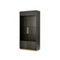 Vitriini Seville FURNLUX PREMIUM, 100x41x200 cm, musta hinta ja tiedot | Vitriinit | hobbyhall.fi