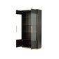 Vitriini Seville FURNLUX PREMIUM, 100x41x200 cm, musta hinta ja tiedot | Vitriinit | hobbyhall.fi