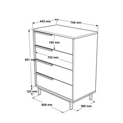 Lipasto Ocean FURNLUX CLASSIC, 75x45x95 cm, valkoinen hinta ja tiedot | Lipastot | hobbyhall.fi