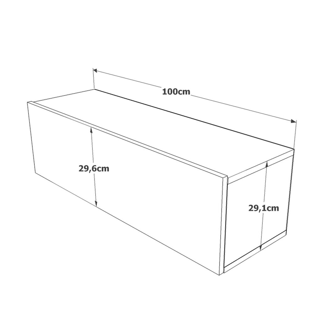 Tv-taso Future12 FURNLUX CLASSIC, 100x32x30 cm, luonnollinen hinta ja tiedot | TV-tasot | hobbyhall.fi