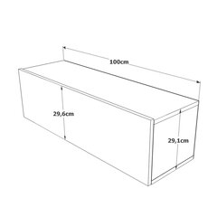 Tv-taso Future12 FURNLUX CLASSIC, 100x32x30 cm, harmaa hinta ja tiedot | TV-tasot | hobbyhall.fi