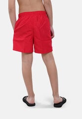 Nike Uimahousut Nk B Ess 4'' Volley Short Red NESSB866 614 NESSB866 614/S hinta ja tiedot | Poikien uima-asut | hobbyhall.fi