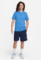 Nike T-Paita Nsw Tee M90 12Mo Aop Blue FQ8036 402 FQ8036 402/S hinta ja tiedot | Miesten puserot ja hupparit | hobbyhall.fi