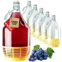 6x Wine Carboy 5L Balloon Lady In Basket -viinipullo + sulkeminen hinta ja tiedot | Keittiövälineet | hobbyhall.fi