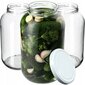 8x Jar Glass Jar 4L Purkit kurkkutinktuureille + Caps Fi100 hinta ja tiedot | Säilöntä | hobbyhall.fi