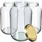 8x Jar Glass Jar 4L Purkit kurkkutinktuureille + Caps Fi100 hinta ja tiedot | Säilöntä | hobbyhall.fi