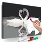 DIY kangas maalaus - Swan Couple 60x40 hinta ja tiedot | Maalaa numeroiden mukaan | hobbyhall.fi