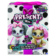 SPIN MASTER PRESENT PETS Interaktiivinen koiranpentu FANCY hinta ja tiedot | Pehmolelut | hobbyhall.fi