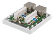 Deltaco VR-221 FTP 2xRJ45, Cat6A hinta ja tiedot | Kaapelit ja adapterit | hobbyhall.fi