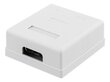 Deltaco VR-221 FTP 2xRJ45, Cat6A hinta ja tiedot | Kaapelit ja adapterit | hobbyhall.fi