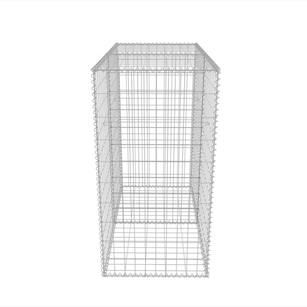 Gabion kori, teräs, 100x50x100cm hinta ja tiedot | Puutarhatyökalut | hobbyhall.fi