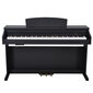 Skaitmeninis pianinas Artesia DP-2+ hinta ja tiedot | Kosketinsoittimet | hobbyhall.fi