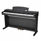 Skaitmeninis pianinas Artesia DP-2+ hinta ja tiedot | Kosketinsoittimet | hobbyhall.fi