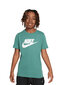 Nike Lasten T-paita AR5252*361, vihreä 196977971594 hinta ja tiedot | Poikien paidat | hobbyhall.fi