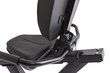 Kuntopyörä Tunturi RECUMBENT BIKE PERFORMANCE E50R hinta ja tiedot | Kuntopyörät | hobbyhall.fi