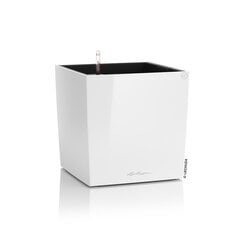 Lechuza ruukut Cube Premium 50 cm hinta ja tiedot | Kukkaruukut | hobbyhall.fi