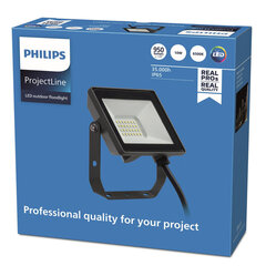 Ulkovalaisin Philips ProjectLine 10 W 950 Lm 6500 K hinta ja tiedot | Puutarha- ja ulkovalot | hobbyhall.fi