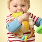Lelu vauvoille Little Monkey hinta ja tiedot | Vauvan lelut | hobbyhall.fi