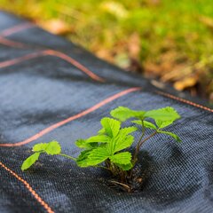 Agrotekstiili rikkaruohoja vastaan Springos, 70g/m2, 1x10 m hinta ja tiedot | Puutarhatyökalut | hobbyhall.fi