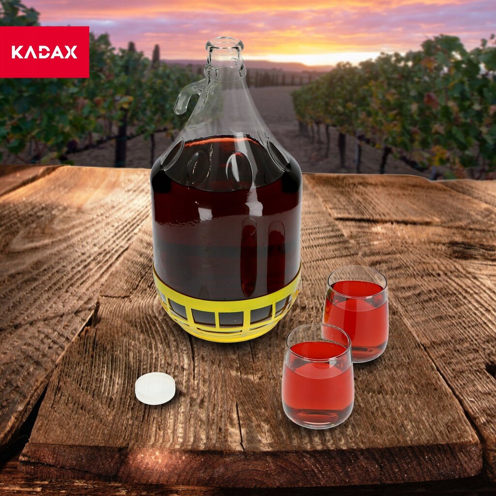 Wine Carboy 5L Lady Balloon korissa viinipullo + sulkeminen hinta ja tiedot | Lasit, mukit ja kannut | hobbyhall.fi