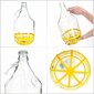 Wine Carboy 5L Lady Balloon korissa viinipullo + sulkeminen hinta ja tiedot | Lasit, mukit ja kannut | hobbyhall.fi