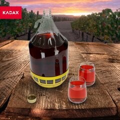 Wine Carboy 5L Lady Balloon korissa viinipullo + sulkeminen hinta ja tiedot | Lasit, mukit ja kannut | hobbyhall.fi