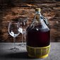 Wine Carboy 5L Lady Balloon korissa viinipullo + sulkeminen hinta ja tiedot | Lasit, mukit ja kannut | hobbyhall.fi