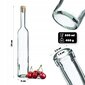 2x 500 ml pullo tinktuureille Fi19 Corkilla hinta ja tiedot | Säilöntä | hobbyhall.fi