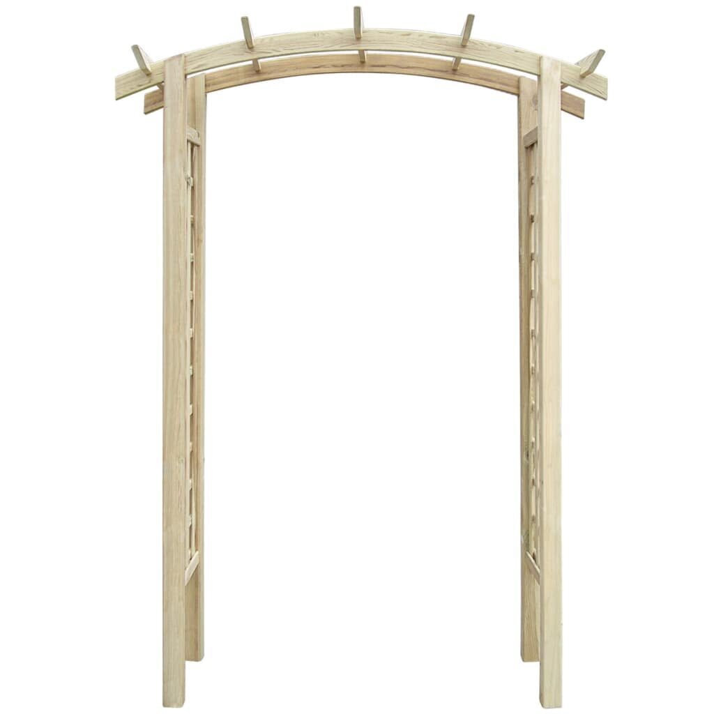 Trellis-kaari, 150x50x210cm, puuta hinta ja tiedot | Kukkatelineet ja kukkapöydät | hobbyhall.fi