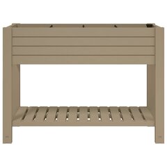 vidaXL Korotettu kukkalaatikko vaaleanruskea 110x45x79 cm polypropeeni hinta ja tiedot | Kukkalaatikot | hobbyhall.fi