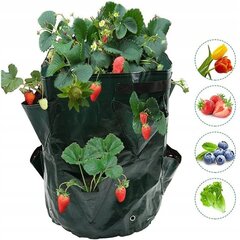 VEGETABLES PONDING BRUSKETS TUBE POND 35cm hinta ja tiedot | Kukkaruukut | hobbyhall.fi