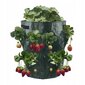 VEGETABLES PONDING BRUSKETS TUBE POND 35cm hinta ja tiedot | Kukkaruukut | hobbyhall.fi