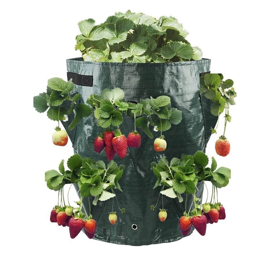 VEGETABLES PONDING BRUSKETS TUBE POND 35cm hinta ja tiedot | Kukkaruukut | hobbyhall.fi