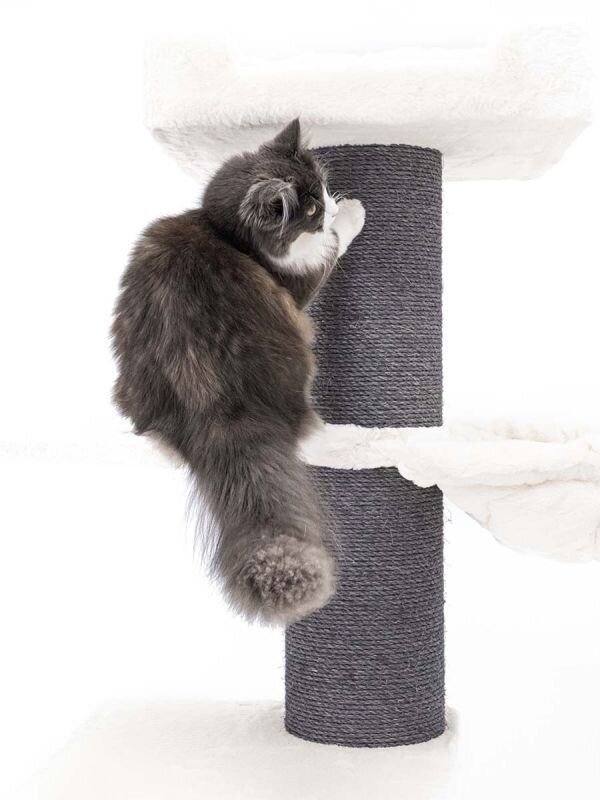 Kissan kiipeilypuu Petrebels Ragdoll 180, off-white hinta ja tiedot | Raapimispuut ja kiipeilypuut | hobbyhall.fi