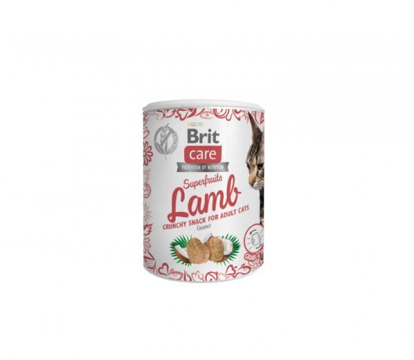 Brit Care Cat Superfruits Lamb viljaton herkku kissoille, 100 g x 4 hinta ja tiedot | Kissan herkut | hobbyhall.fi