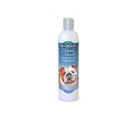 Bio-Groom Natural Oatmeal luonnollinen shampoo koirille ja kissoille, 355 ml hinta ja tiedot | Shampoot ja hoitoaineet lemmikeille | hobbyhall.fi