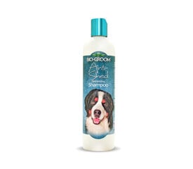 Bio-Groom Anti-Shed Deshedding hiustenlähtöä estävä shampoo koirille, 355 ml hinta ja tiedot | Shampoot ja hoitoaineet lemmikeille | hobbyhall.fi