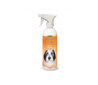 Bio-Groom Coat-Polish kiiltohoitoaine koirille, 473 ml hinta ja tiedot | Shampoot ja hoitoaineet lemmikeille | hobbyhall.fi