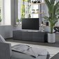 TV-kaappi, 120x34x30cm, harmaa hinta ja tiedot | TV-tasot | hobbyhall.fi