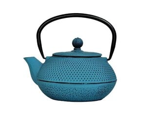 Japanilainen valurautainen teekannu, vihertävän sininen, 0,8 l hinta ja tiedot | GIFT Koti ja keittiö | hobbyhall.fi