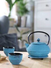 Japanilainen valurautainen teekannu, vihertävän sininen, 0,8 l hinta ja tiedot | Kahvipannut ja teekannut | hobbyhall.fi