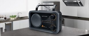 Muse M-06DS hinta ja tiedot | Kelloradiot ja herätyskellot | hobbyhall.fi