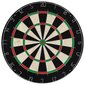 vidaXL Ammattilaistasoinen Sisal tikkataulu 6 tikkaa ja reunus hinta ja tiedot | Darts | hobbyhall.fi