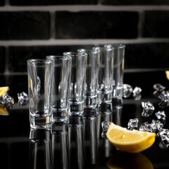 Vodkalasit 60 ml Lasisarja 6 kpl Shot Glass hinta ja tiedot | Lasit, mukit ja kannut | hobbyhall.fi