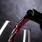 4x juomalasit juomille Viini 580 ml lasilasisarja hinta ja tiedot | Lasit, mukit ja kannut | hobbyhall.fi
