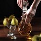 Whisky Alcohol Decanter Crystal 0,8L lasipullo korkilla hinta ja tiedot | Lasit, mukit ja kannut | hobbyhall.fi