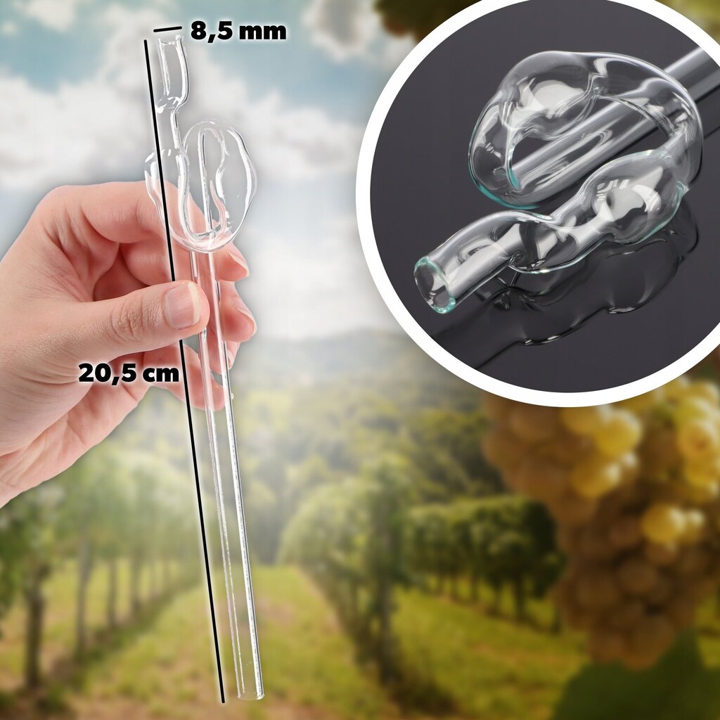 Wine Carboy 15 litraa Wine Balloon Tube Cork In Basket Set hinta ja tiedot | Lasit, mukit ja kannut | hobbyhall.fi